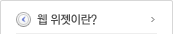 웹 위젯이란?